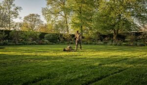 Scarifier la pelouse : pourquoi le faire trop tôt cause plus de dégâts que de bien
